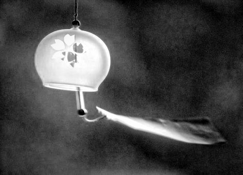 Perceba o sopro da Natureza